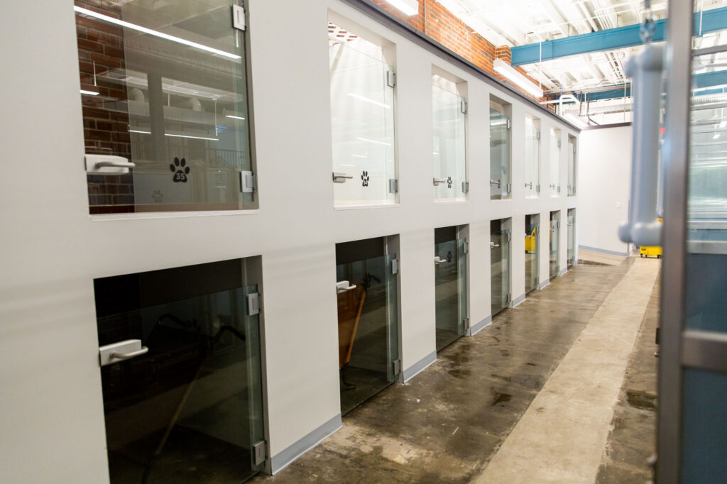 Modern private boarding suites with glass doors at Collars Dog Resort in Waldo, Kansas City