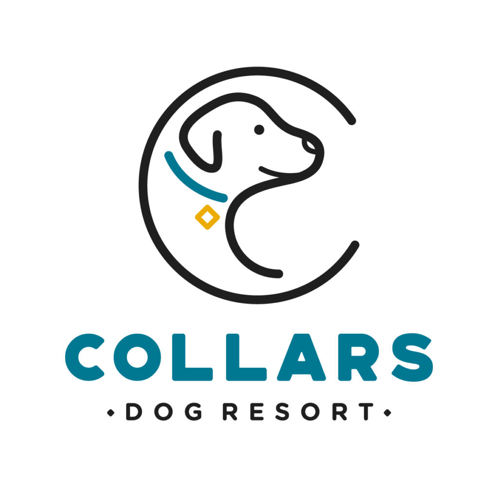 Collars Dog Resort logo - Dog daycare, boarding, grooming and training in Waldo Kansas City and Olathe KS